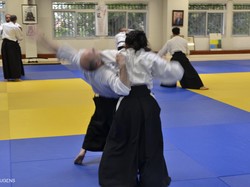 Illustration de la galerie